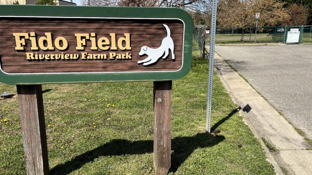 Fido Field Dog Park Newport News Parks And Recreation